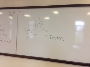 Plato! I will learn to not only grudgingly respect you but appreciate you too. 