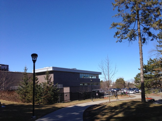 At least there's actual sunlight present in Ottawa now to guide me into said future.