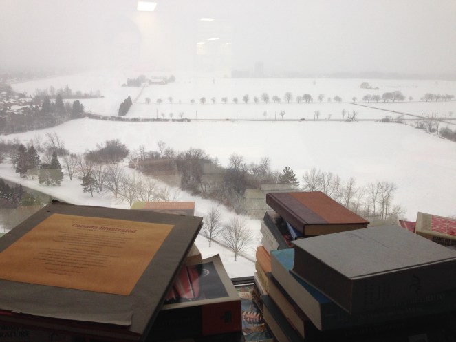 View from the English Lounge (18th Floor - Dunton Tower)